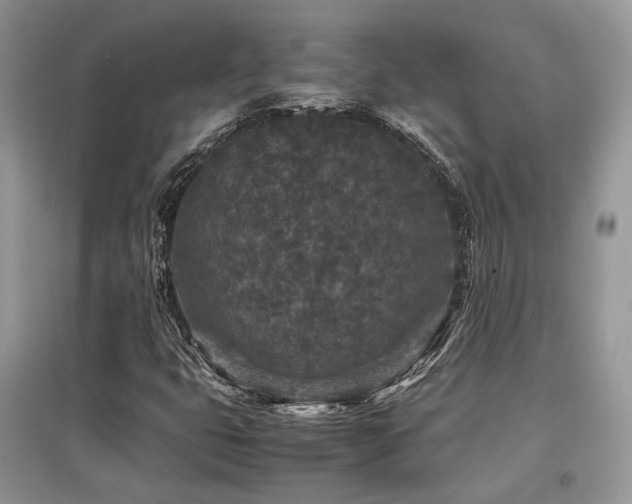 X0000097841399200803141157