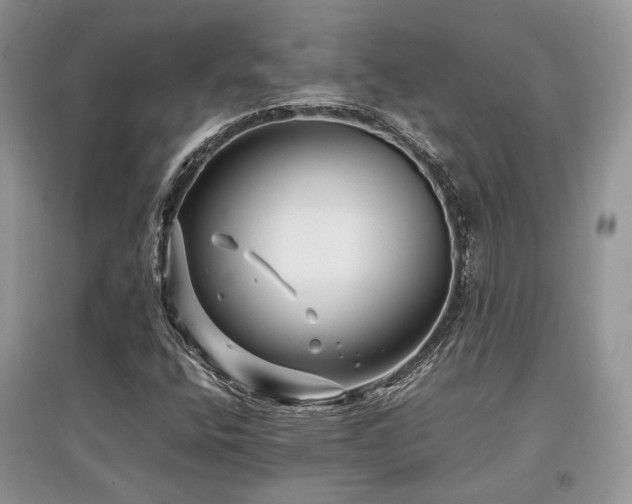 X0000097841400200803141157