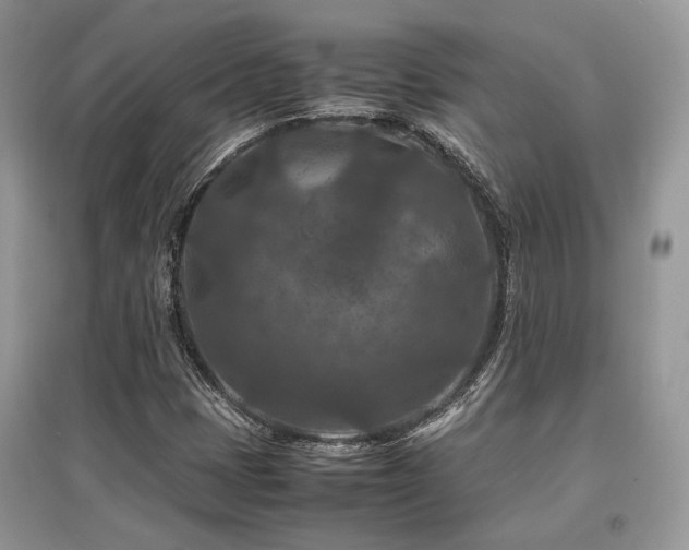 X0000097841401200803141157