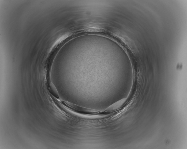X0000097841402200803141157