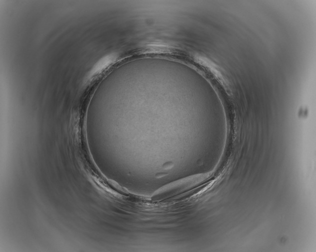 X0000097841403200803141157