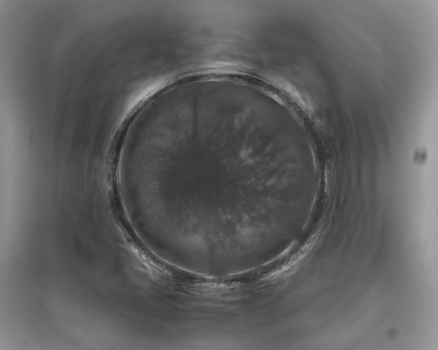 X0000097841405200803141157
