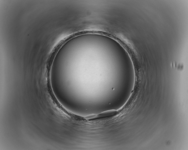 X0000097841408200803141157