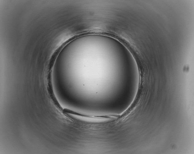 X0000097841410200803141157