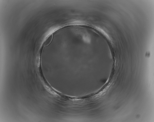 X0000097841413200803141157
