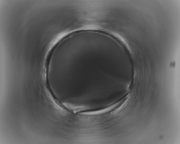 X0000097841414200803141157