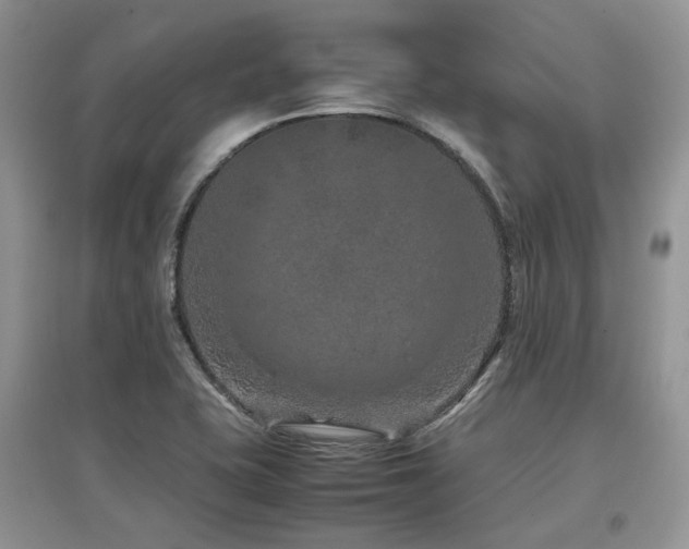X0000097841415200803141157