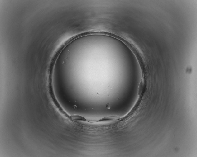X0000097841416200803141157