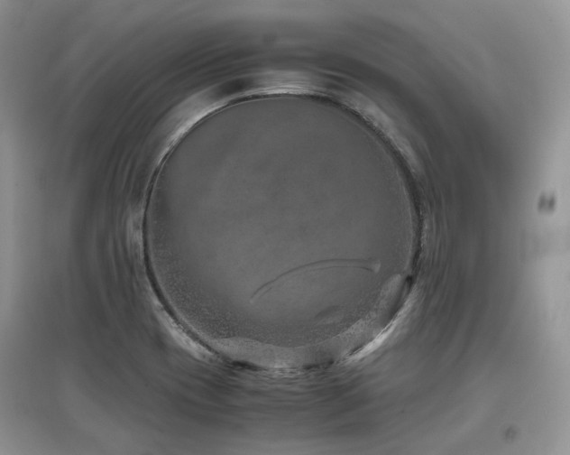 X0000097841417200803141157
