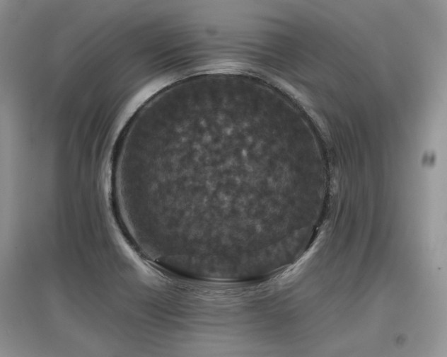 X0000097841418200803141157