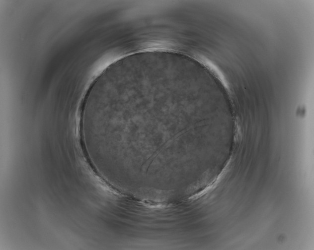 X0000097841419200803141158