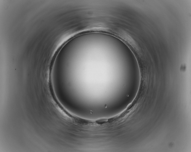X0000097841420200803141158