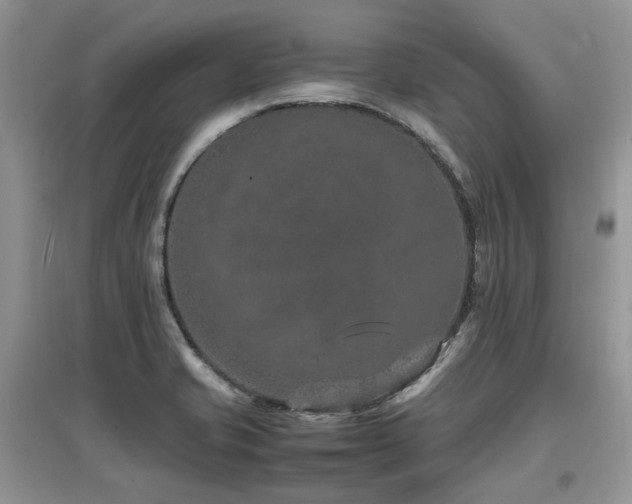 X0000097841421200803141158