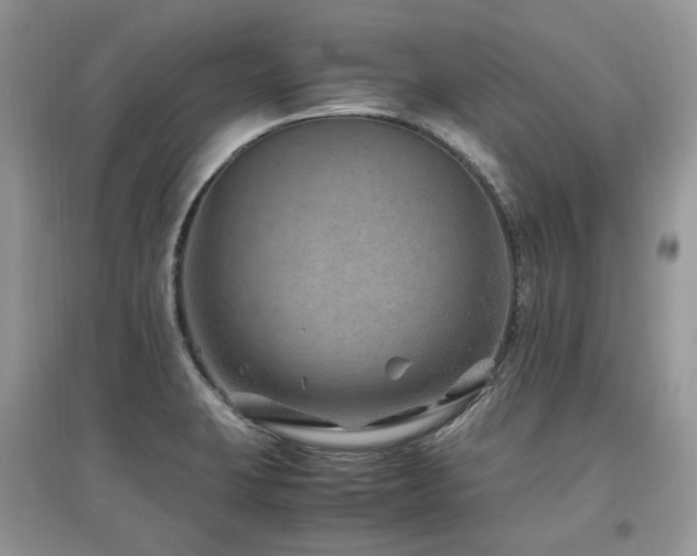 X0000097841423200803141158