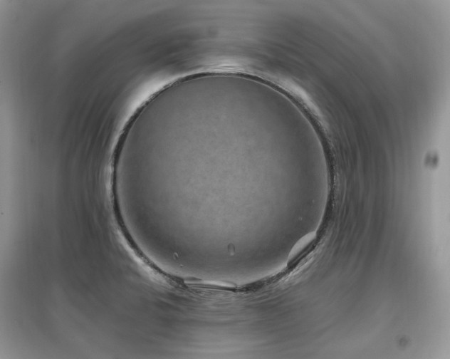 X0000097841424200803141158