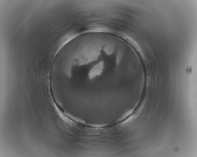 X0000097841425200803141158