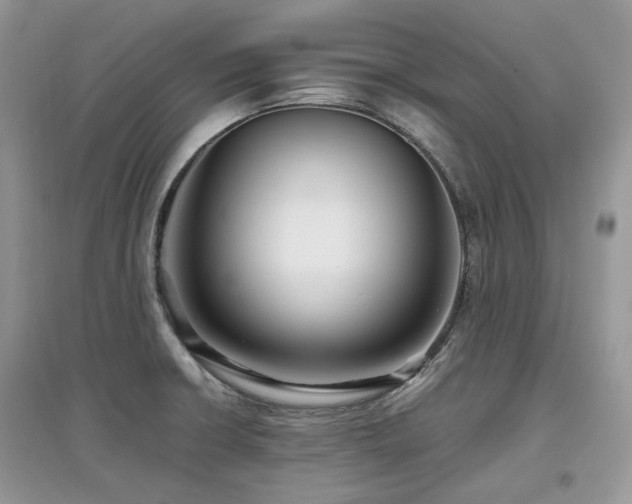 X0000097841426200803141158
