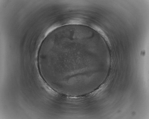X0000097841427200803141158
