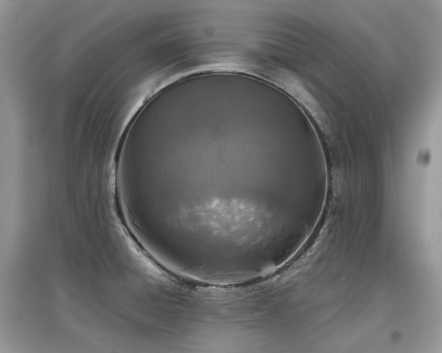 X0000097841428200803141158