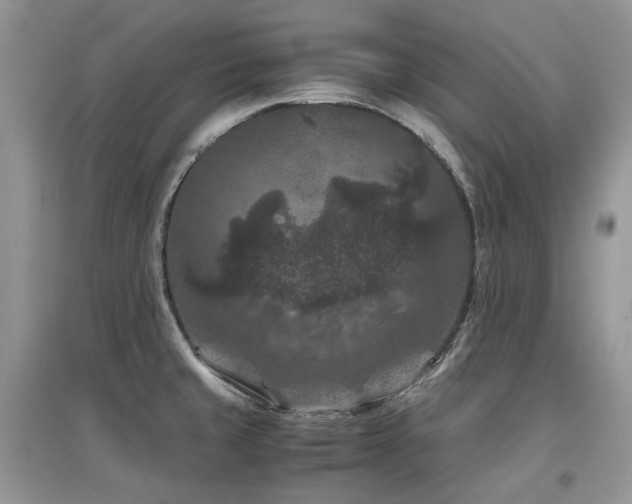 X0000097841429200803141158