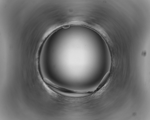 X0000097841430200803141158