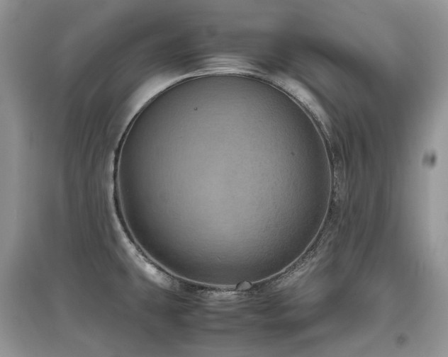 X0000097841431200803141158
