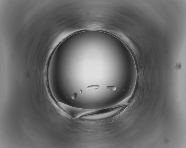 X0000097841432200803141158