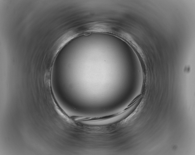 X0000097841433200803141158