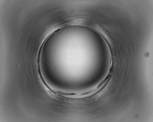 X0000097841434200803141158