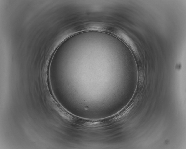 X0000097841435200803141158