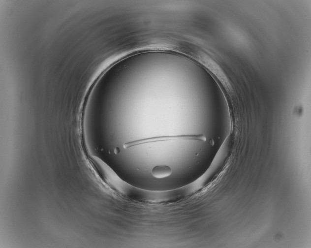 X0000097841436200803141158