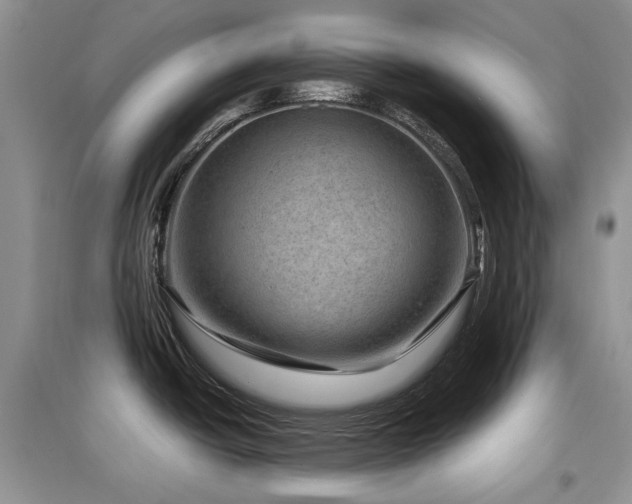 X0000097841438200803141158
