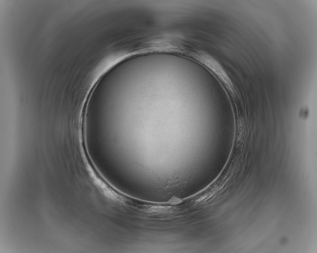 X0000097841439200803141158