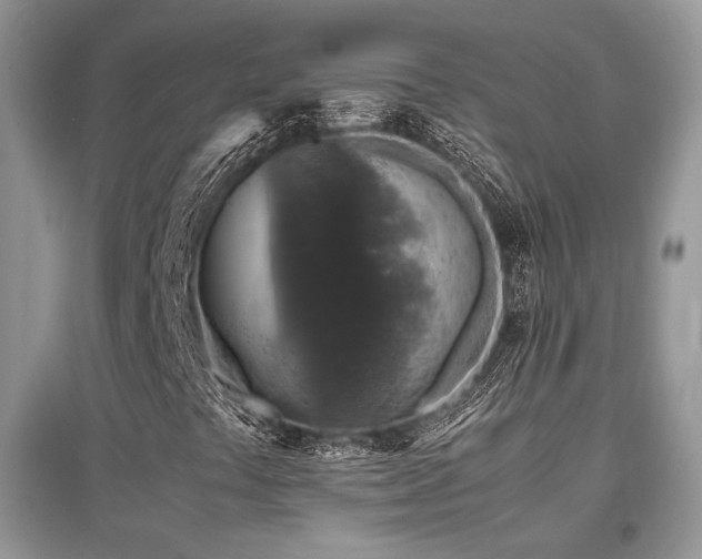 X0000097841441200803141157