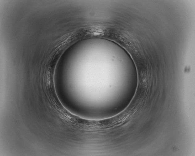 X0000097841442200803141157