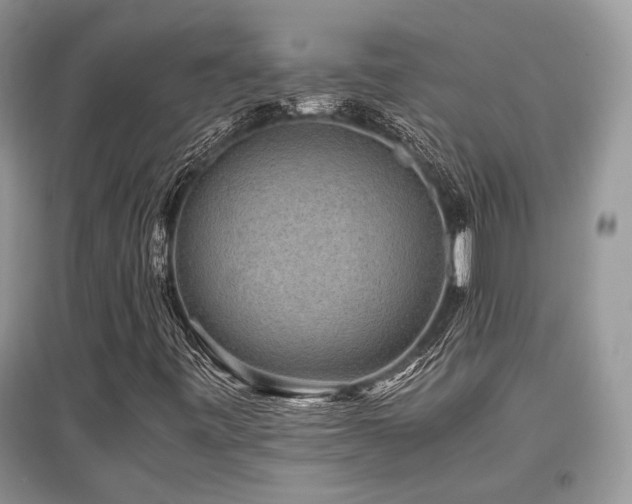 X0000097841443200803141157