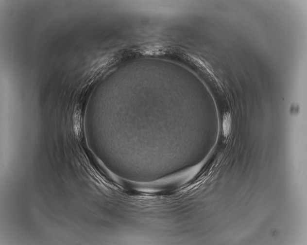 X0000097841444200803141157