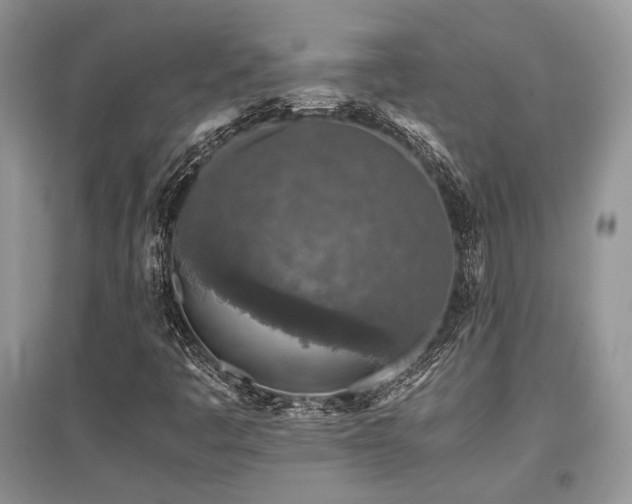 X0000097841445200803141157