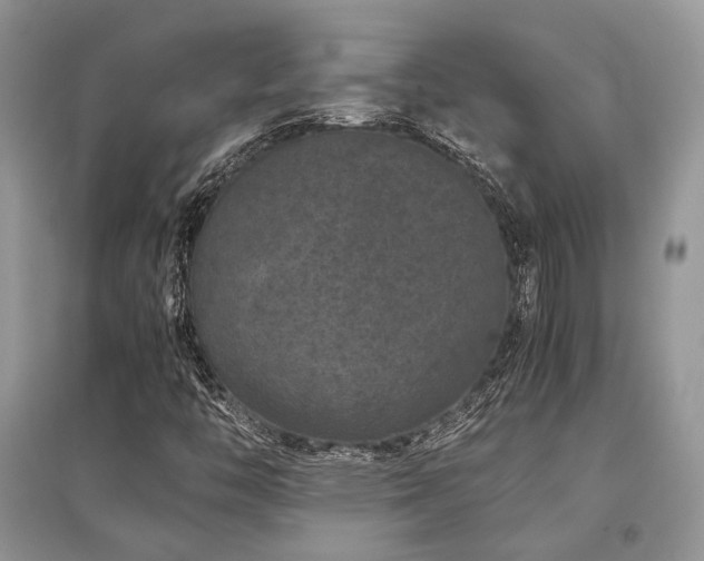 X0000097841446200803141157