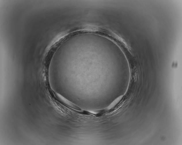 X0000097841448200803141157