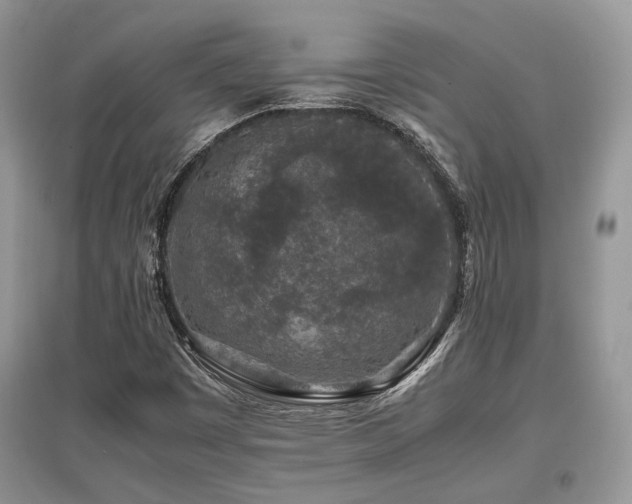 X0000097841449200803141157