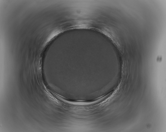 X0000097841450200803141157