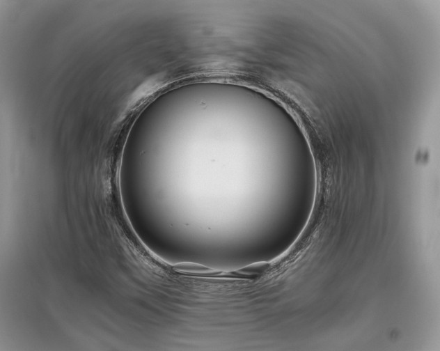 X0000097841451200803141157