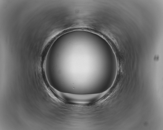 X0000097841452200803141157