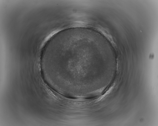X0000097841453200803141157