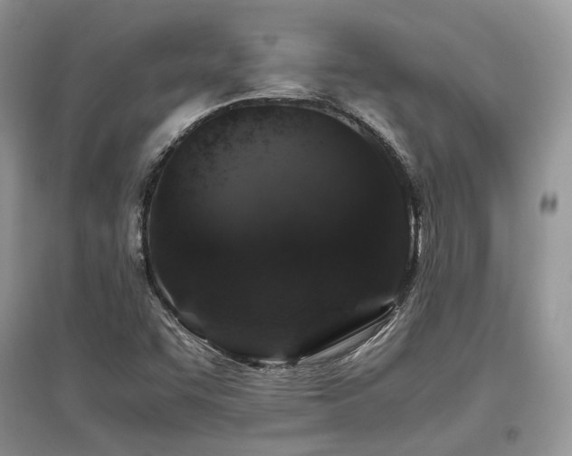 X0000097841455200803141157