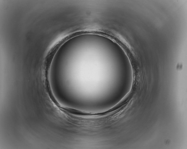 X0000097841456200803141157