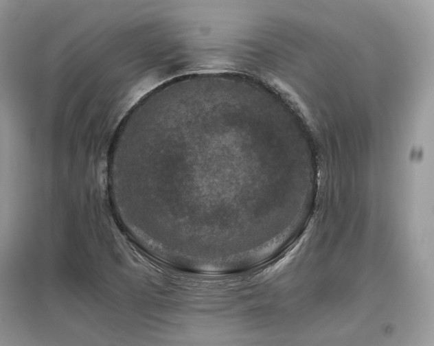 X0000097841457200803141157