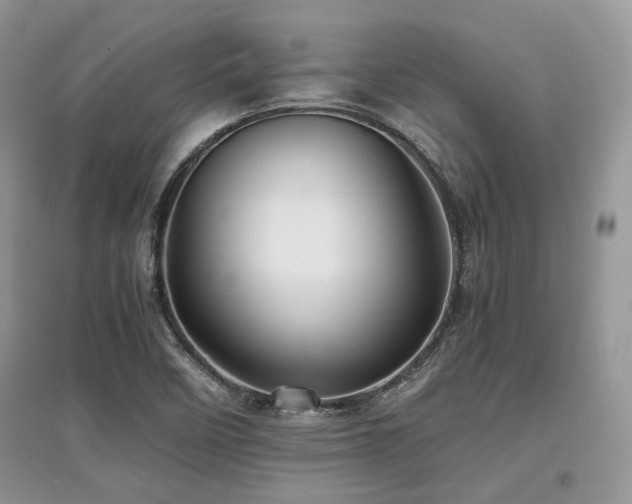 X0000097841458200803141157