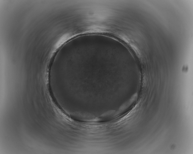 X0000097841459200803141157
